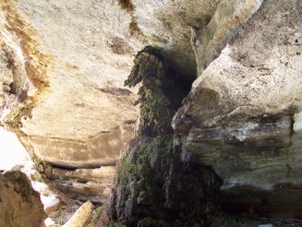 2010-03-12-Hamilton Pool-28.jpg